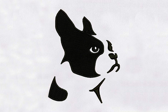 Boston Dog: An Embroidery Designer's Review for Small Business Merch