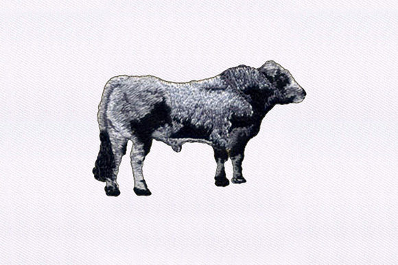 Gray and Black Cow: A Boutique Sweatshirt Embroidery Review